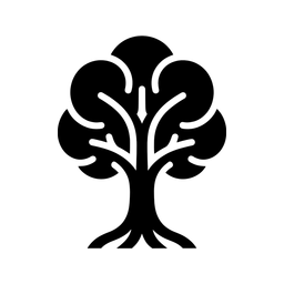 محلات شجرة الكاجو